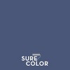 Rust-Oleum 2pk Sure Color Eggshell - 4 of 4