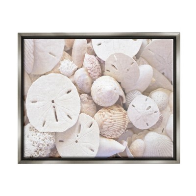 Stupell Industries White Mixed Sand Dollar Shells Framed Floater Canvas Wall Art