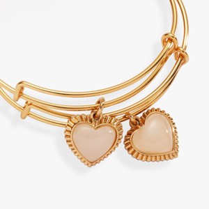 Alex and Ani Mother & Daughter Heart Set of 2 - 1 of 3