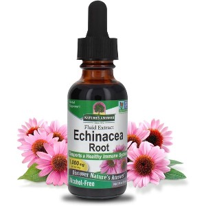 Nature's Answer Echinacea Liquid Extract 1000mg, 1 Oz - 1 of 4