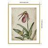 Amanti Art Elegance Unveiled II by Jacob q Wood Framed Wall Art Print - 3 of 4