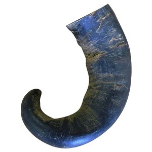 Buffalo Hornz Natural Water Buffalo Horn Chew Dog Treat Medium - 1ct - 1 of 4