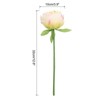 Unique Bargains Artificial Realistic Appearance Durable Faux Peony Flower 12.6'' Long 20 Pcs Champagne Color - 2 of 3