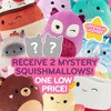 Squishmallows Mystery 10-Inch 2-Squish Value Pack - Get Two Jumbo Officially Licensed 10" for Less - Collectible Stuffed Animal Toy - Gift for Kids - 2 of 4
