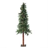 Allstate Floral 6' Pre-Lit Traditional Woodland Alpine Artificial Christmas Tree - Multi-Color Lights
