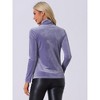 Allegra K Women's Solid Turtleneck Velvet Long Sleeve Work Basic Velour Blouse - 4 of 4