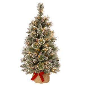 3' Prelit Glittery Bristle Pine Artificial Christmas Tree with Cones Warm White Lights - National Tree Company - 1 of 4