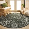 Adirondack ADR109 Non-Shedding Power Loomed Indoor Rug - Safavieh - 2 of 4
