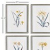 Plum & Post Daffodil Prints, Set Of 4 - 2 of 3