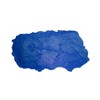 Bon Tool 32-684 Fossil Stamp--Protocolphon - 2 of 3