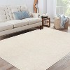 Acekool 5x7 Machine Washable Rug, Modern Non-Slip Minimalist Area Rug, Stain Resistant, Foldable Neutral Accent Carpet for Living Room, Black - 2 of 4