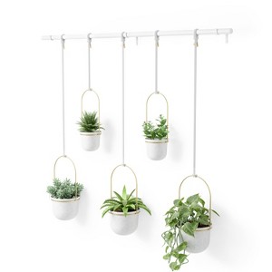 Umbra Triflora 5 Hanging Planter White/Brass: Indoor Ceiling Mount, Adjustable Ropes, Modern Decor - 1 of 4