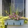 Galvanized Steel Flower Box - ACHLA Designs - 4 of 4