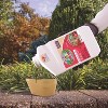 Captain Jack's Deadbug Brew Insect Killer, Liquid, Concentrate - Case of 12 - 32 fl oz - 3 of 4