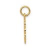 Black Bow Jewelry 14k Yellow Gold Registered Nurse Disk Charm, 14mm - 2 of 4