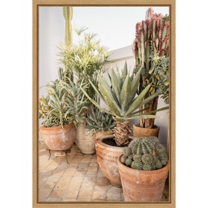 Amanti Art Patio Garden with Potted Succulents by Henrike Schenk Canvas Wall Art Print Framed - 1 of 4