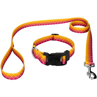 Country Brook Petz Deluxe Fabulous Ombre Dog Collar and Leash Limited Edition (1/2 Inch, Extra Small)