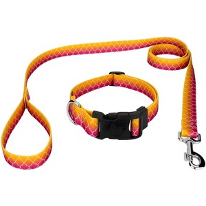 Country Brook Petz Deluxe Collar and Leash - Abstract Collection - 1 of 4