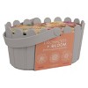 Buzzy Seeds Blossom and Bloom Fresh Cut Flower Garden Seed Kit - 2 of 4