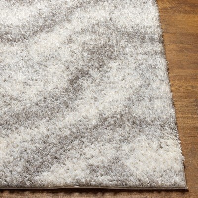 Boyden 5'3" x 7' Gray Shag Wool Area Rug