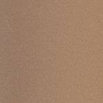 011 Medium Warm Neutral