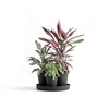 Ecopots Dubai Self Watering Durable Modern Round Indoor/Outdoor Recycled-Based Composite Flower Pot Planters w/Wheels and Saucer, Dark Grey, 22" - 4 of 4