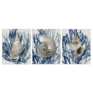 Stupell Industries Trio of Shells & Coral, 24" x 30" - 1 of 4