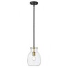 Z-Lite Bella 1 - Light Pendant in  Matte Black/Olde Brass - 2 of 4