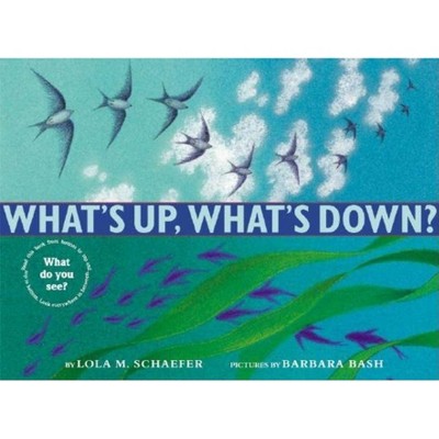 What's Up, What's Down? - by  Lola M Schaefer (Hardcover)