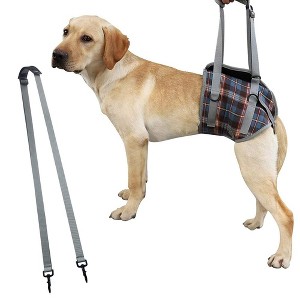 Pet Dog Leg Support Sling Adjustable Retractable Breathable Lift Harness For Eldery Dogs Injured Rear Leg - 1 of 4