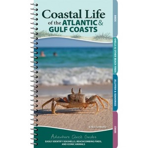 Coastal Life of the Atlantic and Gulf Coasts - (Adventure Quick Guides) by  Erika Zambello (Spiral Bound) - 1 of 1