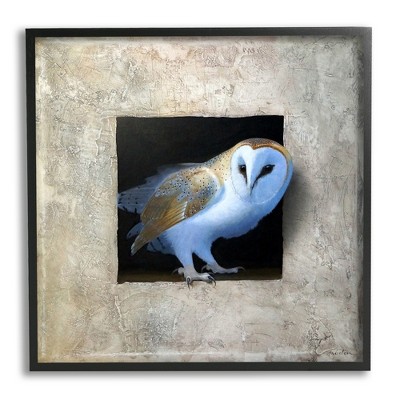 Stupell Industries Mysterious Barn Owl Peering Framed Giclee Art