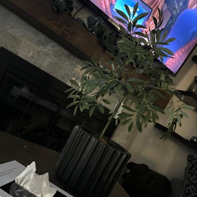 Guest review image 1 of 2, zoom in