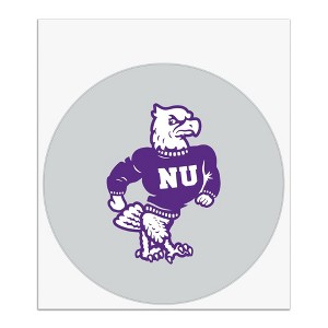 Niagara University Secondary Logo Automotive Car Window Locker Circle Bumper Sticker - 1 of 4