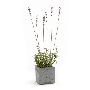 Plum & Post French Lavender Square Pot 19" - 1 of 1