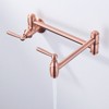 WOWOW Wall Mounted Pot Filler with Double Handle in Brushed Nickel - 2 of 4