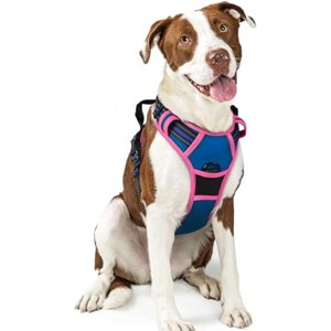 rabbitgoo Dog Harness No Pull with 2 Leash Clips, Oxford No Choke Pet Vest with Easy Control Handle for Large Dogs, Blue & Hot Pink, L - 1 of 1