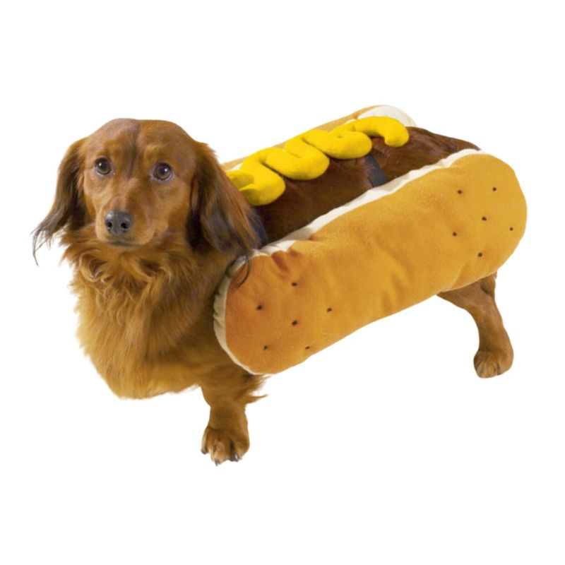 Casual Canine Hot Diggity Dog with Mustard Costume for Dogs, 1 of 4