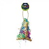 Prevue Pet Products 62604 Calypso Creations Fiesta Handbag Bird Toy, 9 x 6 - 2 of 3