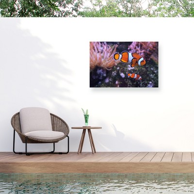 Trademark Fine Art - Nikie  Nemo Matted Framed Art