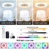 HUMHOLD 24 Inch Smart Ceiling Fan with Lights and Remote/APP Control - 3 of 4