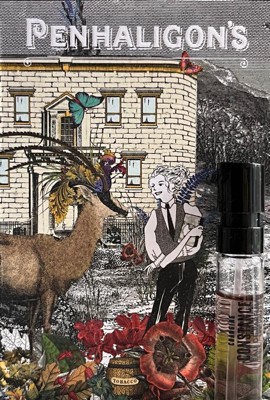 Guest review image 1 of 1, zoom in