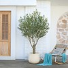 DR.Planzen 7FT Artificial Olive Tree with Thick Stump - UV Resistant Faux Plant for Indoor/Outdoor, Black Pot & Realistic Green Leaves - 4 of 4