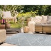 Liora Manne Malibu  Indoor/Outdoor Rug  Aqua.. - 4 of 4