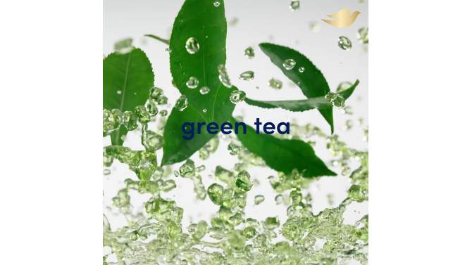Dove Refreshing Body Wash - Cucumber &#38; Green Tea - 20 fl oz/2ct, 2 of 7, play video