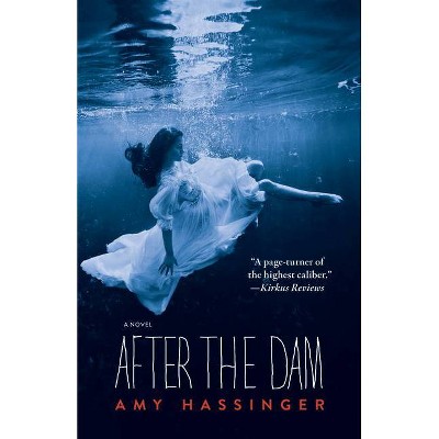 After the Dam - by  Amy Hassinger (Paperback)