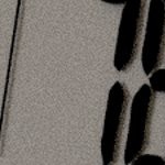 new england patriots