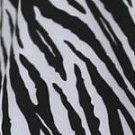 black white zebra stripe