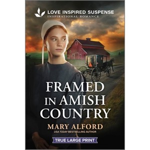 Framed in Amish Country - Large Print by  Mary Alford (Paperback) - 1 of 1