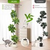 Artificial Fiddle Leaf Fig Tree with Sphere Planter, Tall Faux Rubber Tree with Moss for Indoor Home, Office, or Living Room Decor - 4 of 4